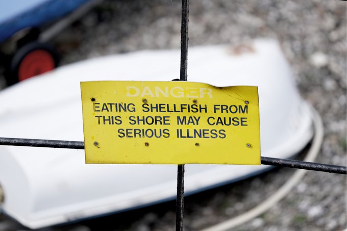 Advisory sign near the shore with text that says, “Danger—eating shellfish from this shore may cause serious illness.” 