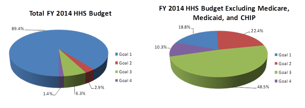 Total Budget Goal 1: 89.4%, Goal 2: 2.0%, Goal 3: 6.3%, Goal 4: 1.4%, Budget Exluding Medicare, Medicaid, and CHIP Goal 1: 18.8%, Goal 2: 22.4%, Goal 3: 48.5%, Goal 4: 10.3%