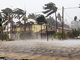 Houses and palm trees hit by rain and heavy wind