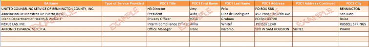 Image of Business Associate List sample template