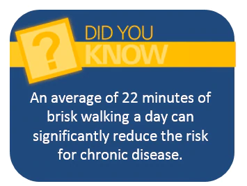 An average of 22 minutes of brisk walking a day can significantly reduce the risk for chronic disease.