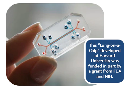 This “Lung-on-a-Chip” developed at Harvard University was funded in part by a grant from FDA and NIH.