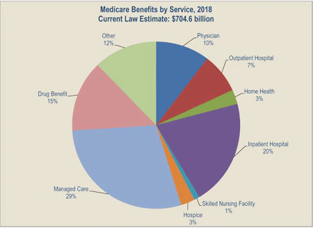 Medicare Benefits by Service 2018 chart