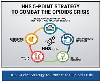 5-Point Strategy