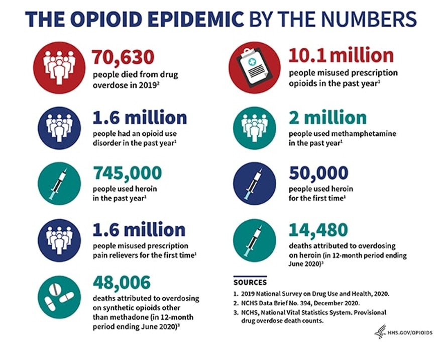The Opioids Epidemic by the Numbers Infographic