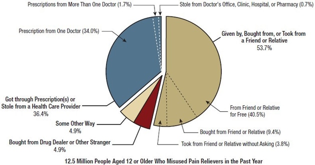 12.5 Million Poeple Aged 12 or Older Who Misused Pain Relievers in the Past Year chart