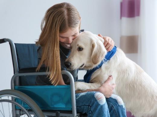 Una niña en sillas de ruedas, en una habitación. Abraza a un labrador amarillo (perro) que se ha subido a su regazo con las patas delanteras.